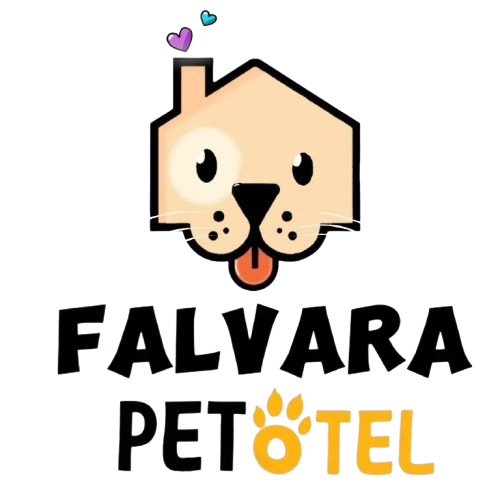 Falvara Köpek Oteli | Eskişehir Köpek Oteli | Eskişehir Köpek Bakımı | Eskişehir Köpek Konaklama |