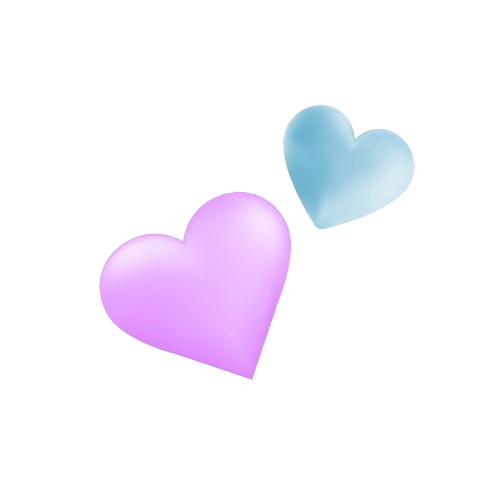 Falvara Köpek Oteli | Eskişehir Köpek Oteli | Eskişehir Köpek Bakımı | Eskişehir Köpek Konaklama |