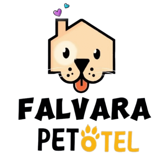 Falvara Köpek Oteli | Eskişehir Köpek Oteli | Eskişehir Köpek Bakımı | Eskişehir Köpek Konaklama |