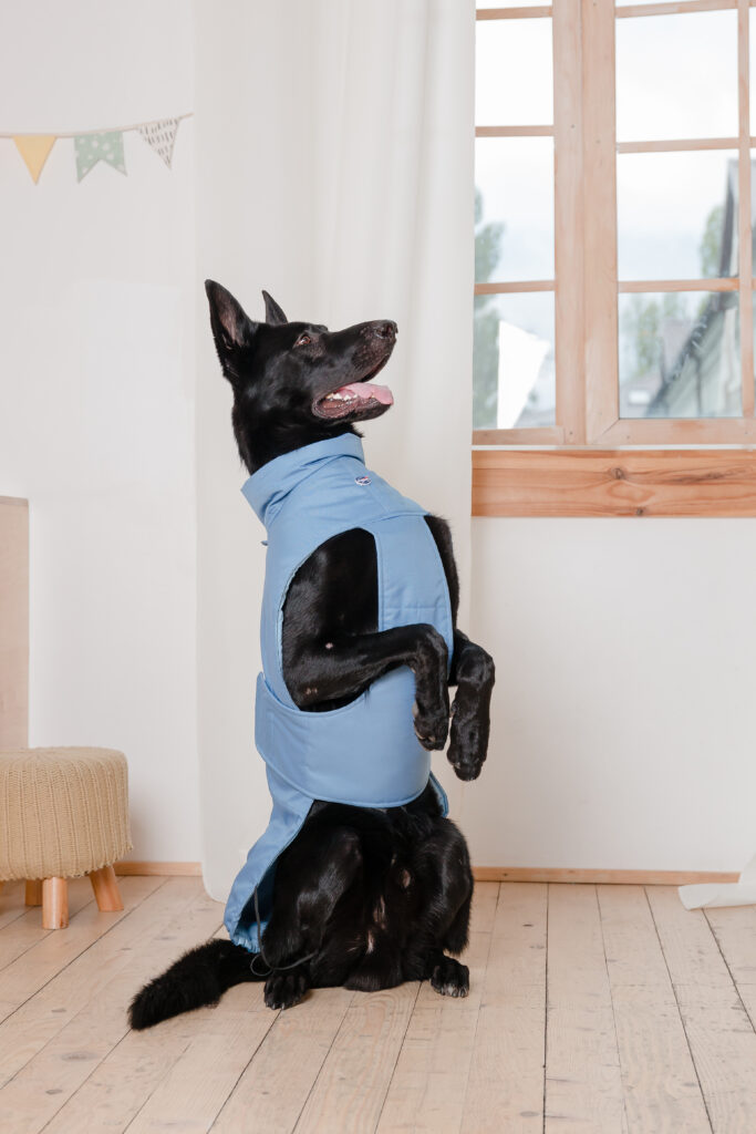 Falvara Köpek Oteli | Eskişehir Köpek Oteli | Eskişehir Köpek Bakımı | Eskişehir Köpek Konaklama |